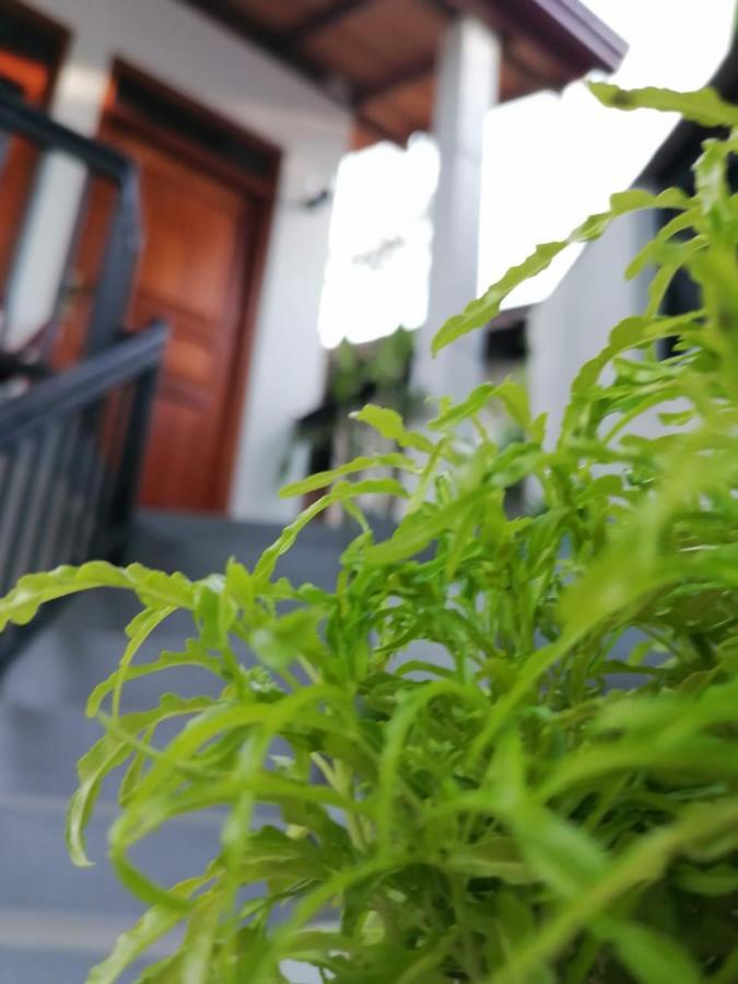 Villa Wismar Хикадува Екстериор снимка