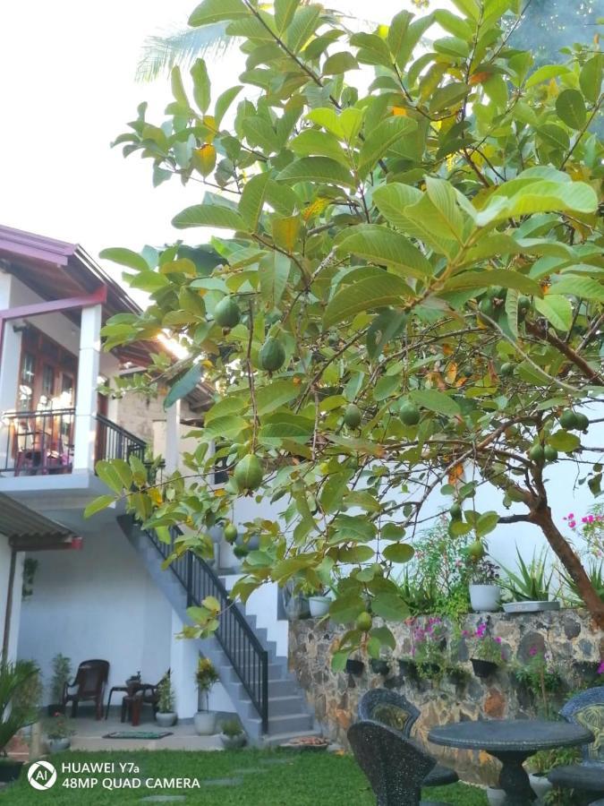 Villa Wismar Хикадува Екстериор снимка