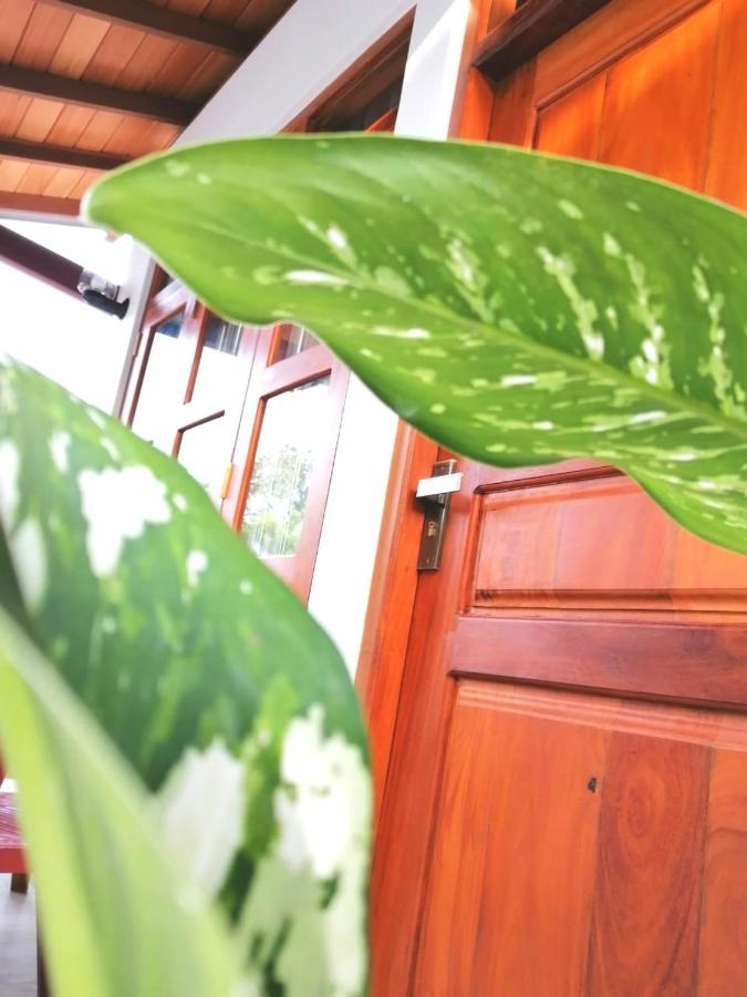 Villa Wismar Хикадува Екстериор снимка